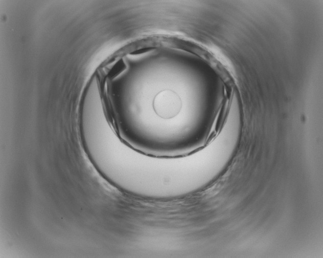 X0000088661287200706081653