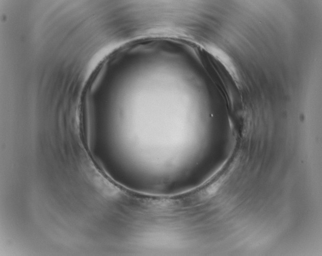 X0000088661288200706081653