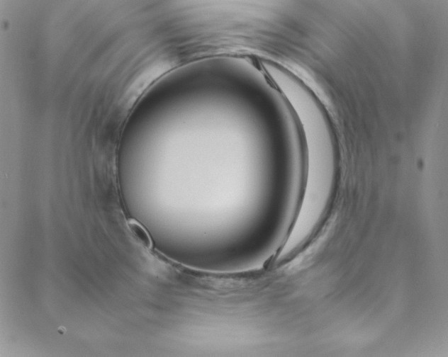 X0000088661289200706081653