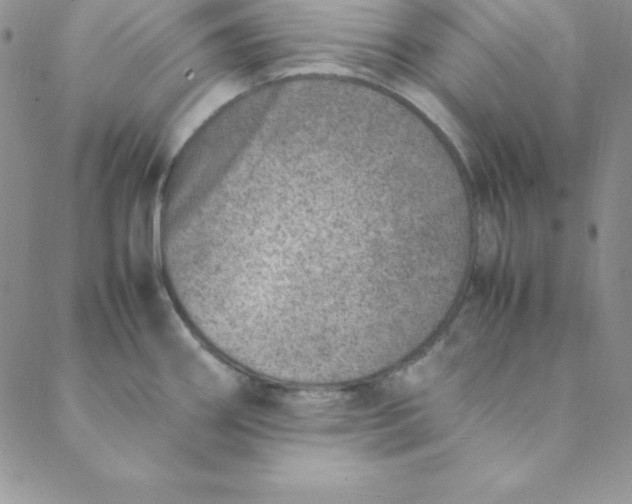 X0000088661290200706081653