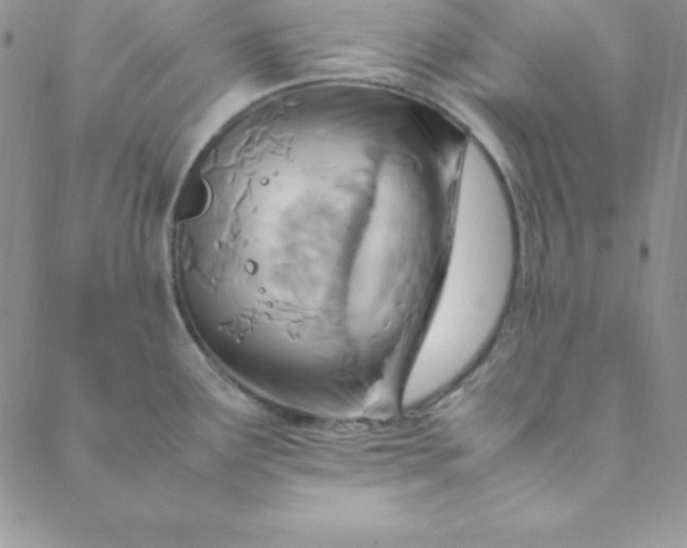 X0000088661291200706081653