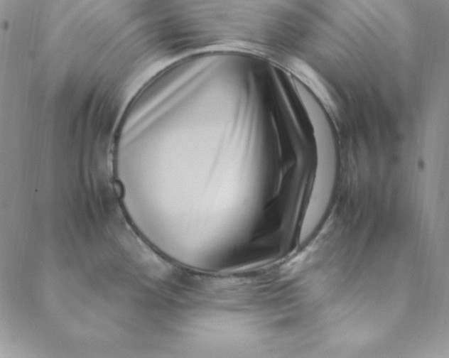 X0000088661292200706081653