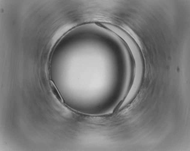 X0000088661293200706081653