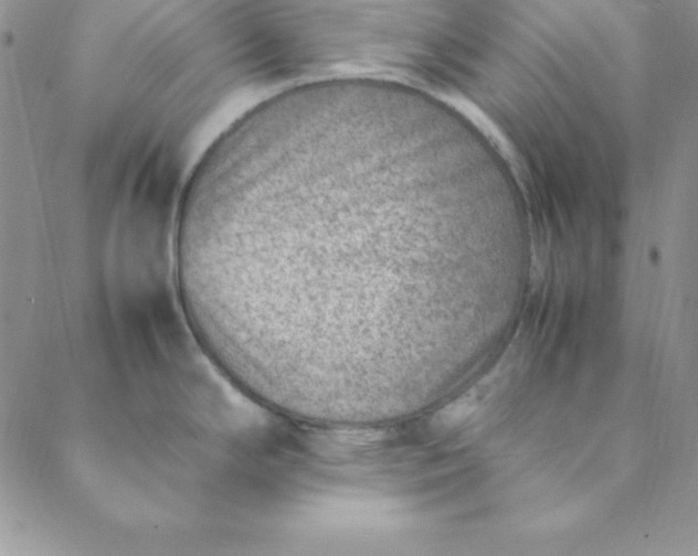 X0000088661294200706081653