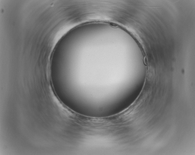 X0000088661295200706081653