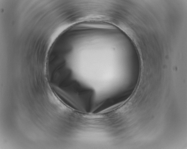 X0000088661296200706081653