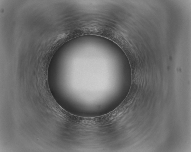 X0000088661297200706081652