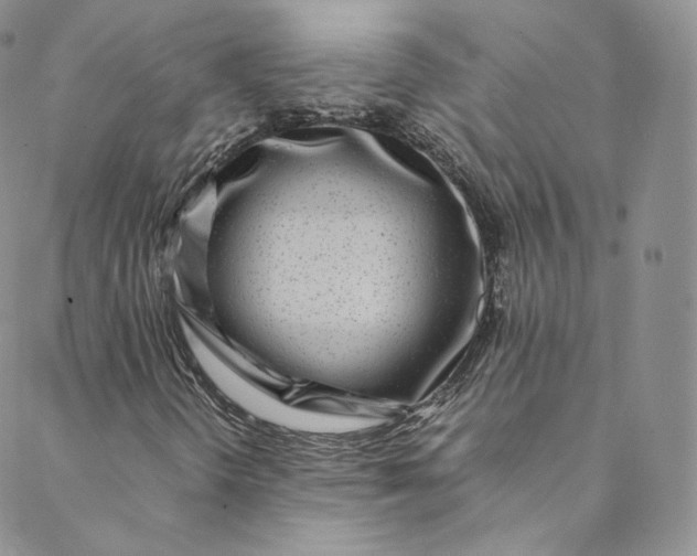 X0000088661298200706081652