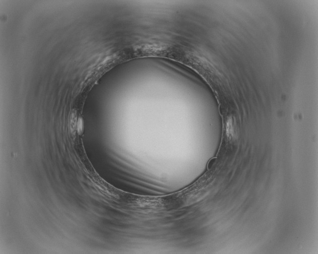 X0000088661299200706081652