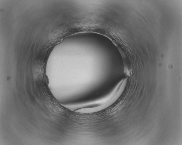 X0000088661300200706081652