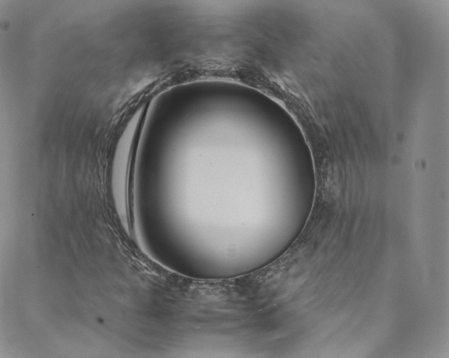 X0000088661301200706081652