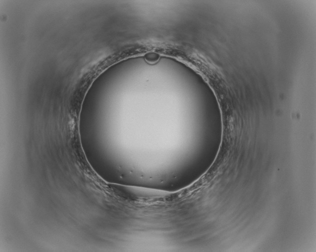 X0000088661302200706081652