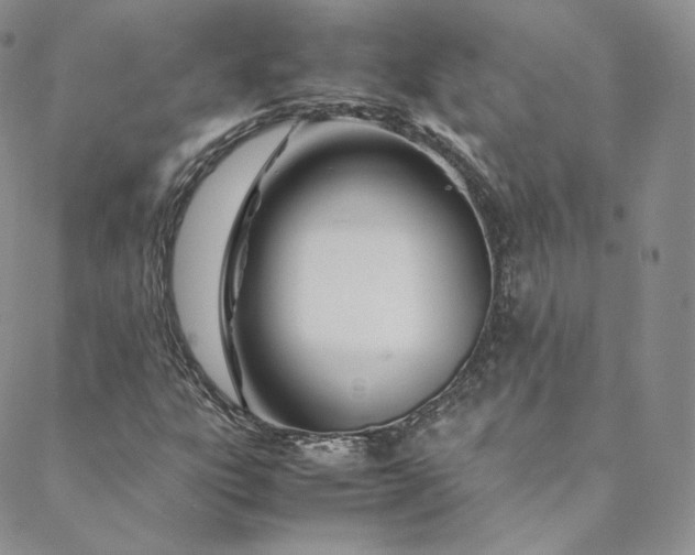 X0000088661303200706081652