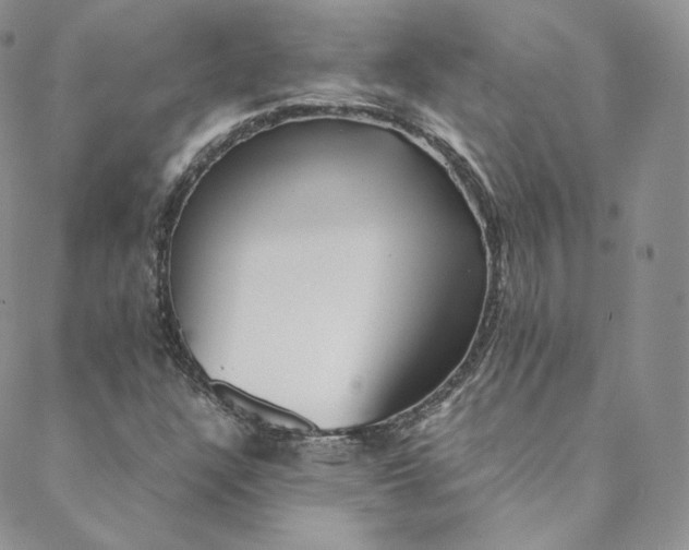 X0000088661304200706081652