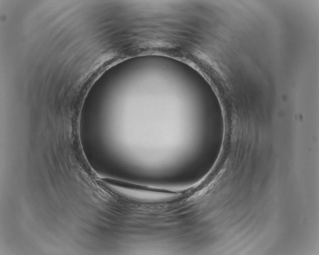 X0000088661305200706081652