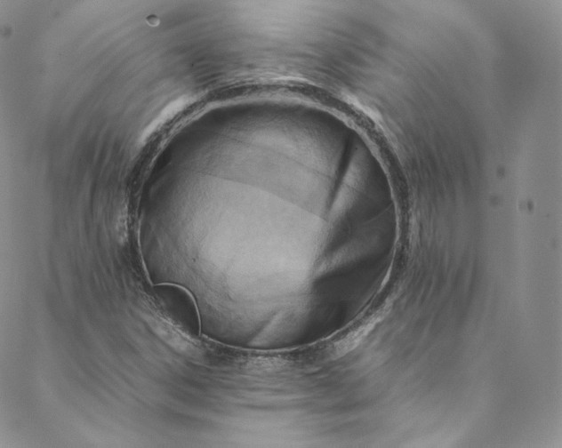 X0000088661306200706081652