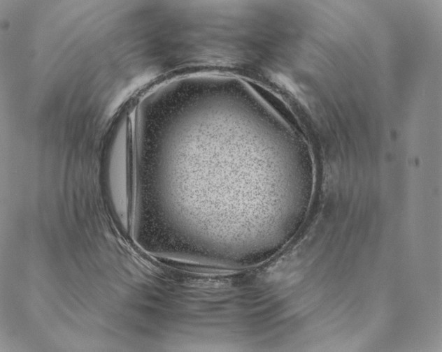 X0000088661307200706081652