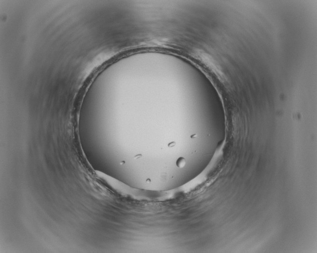 X0000088661308200706081652