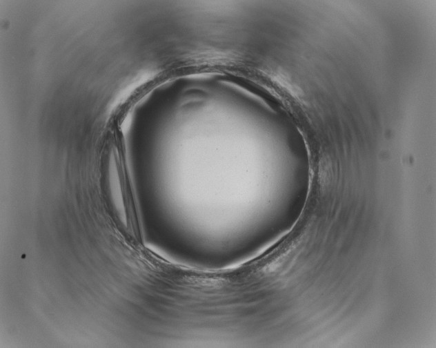 X0000088661309200706081652