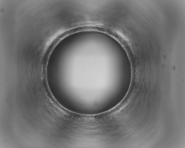 X0000088661310200706081652