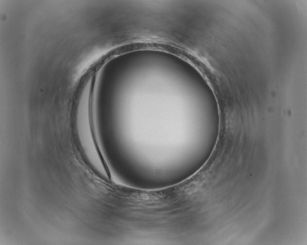 X0000088661311200706081652