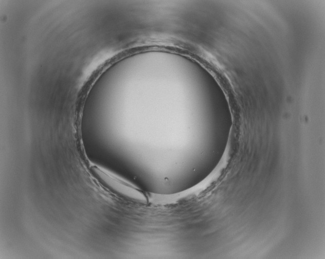 X0000088661312200706081653