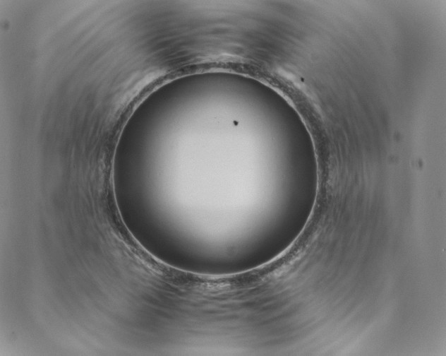 X0000088661313200706081653