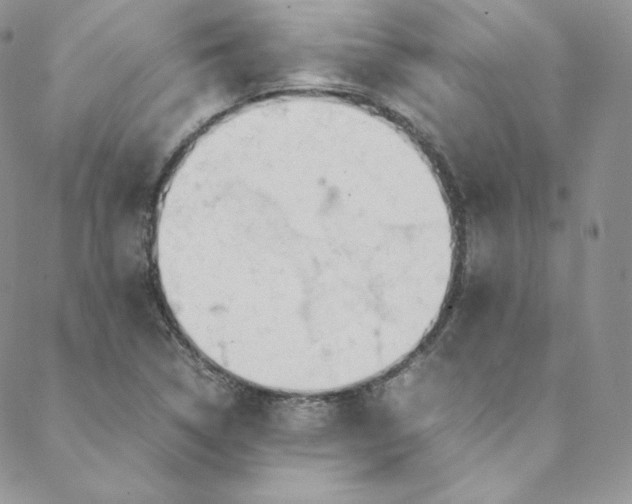 X0000088661314200706081653