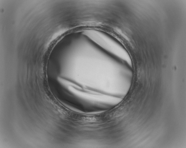 X0000088661315200706081653