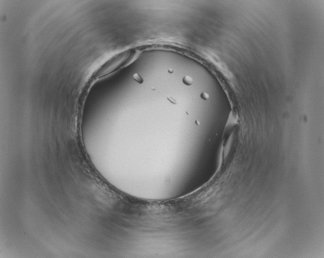 X0000088661316200706081653