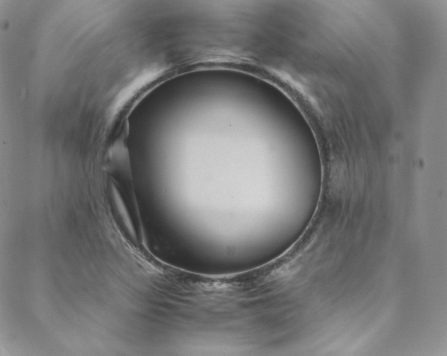 X0000088661317200706081653