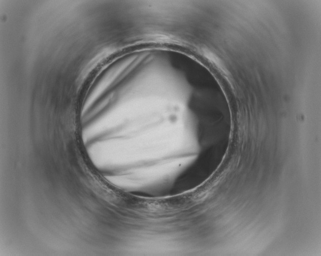 X0000088661318200706081653