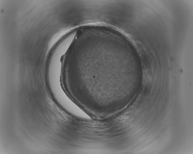 X0000088661319200706081653