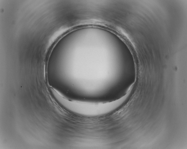 X0000088661320200706081653