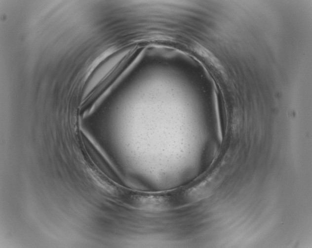 X0000088661321200706081653