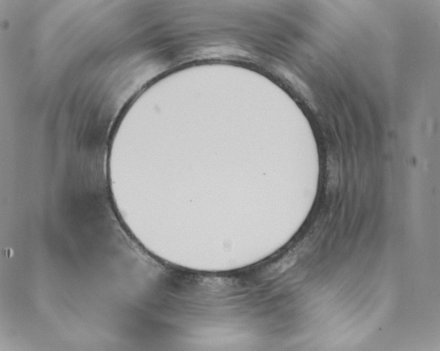 X0000088661322200706081653