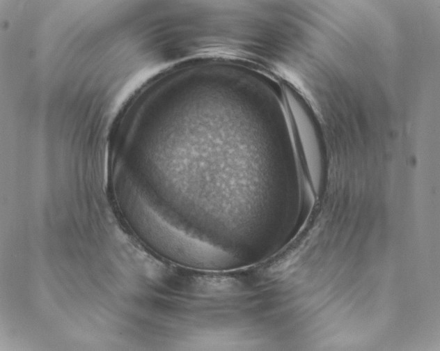 X0000088661323200706081653