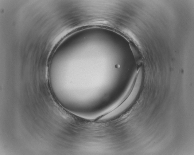 X0000088661324200706081653