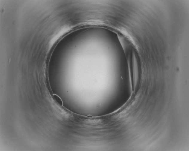 X0000088661325200706081653