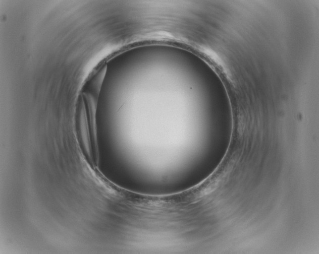 X0000088661326200706081653