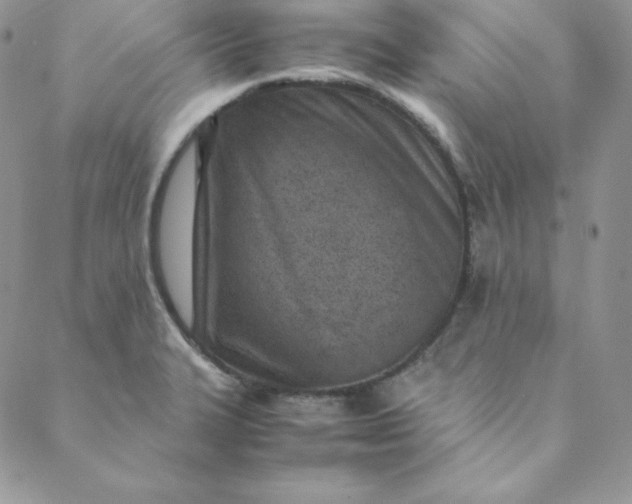 X0000088661327200706081653