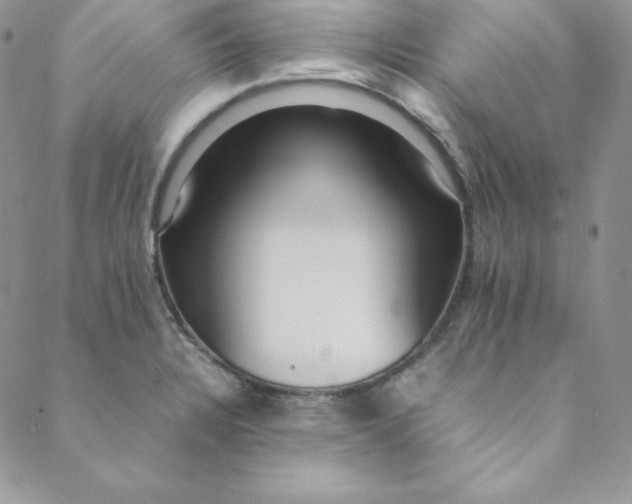 X0000088661328200706081653