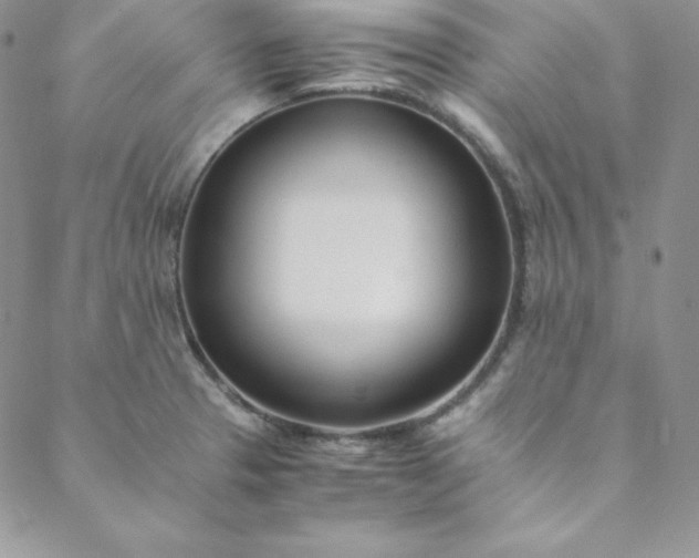 X0000088661329200706081653