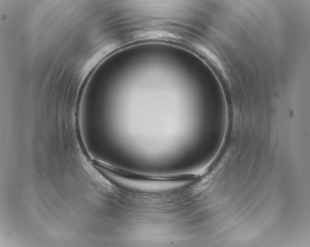 X0000088661330200706081653