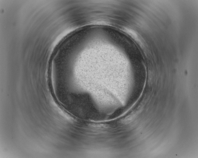 X0000088661331200706081653