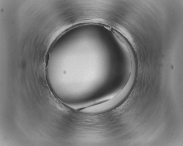 X0000088661332200706081653