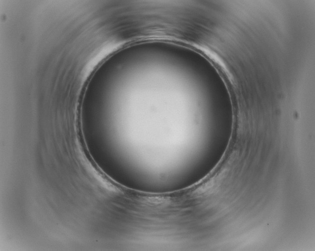 X0000088661333200706081653