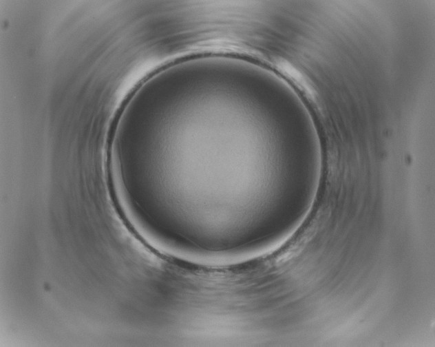 X0000088661334200706081653