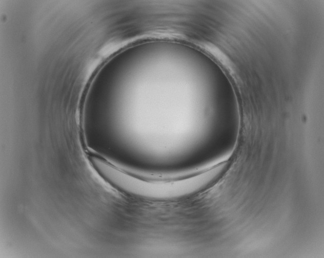 X0000088661335200706081653