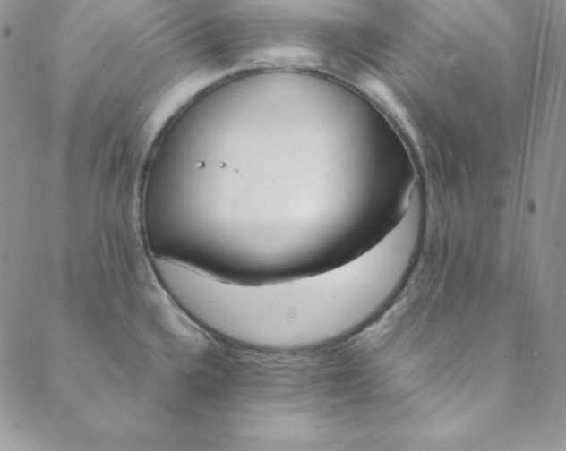 X0000088661336200706081653